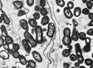 M,39y. | skin - folliculitis